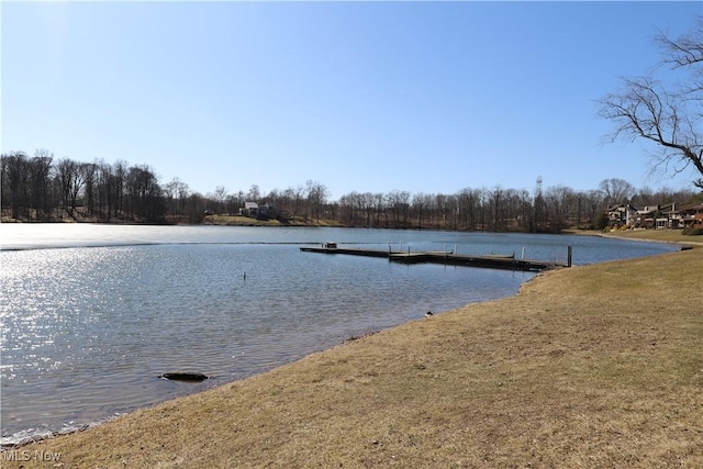 water view with a dock