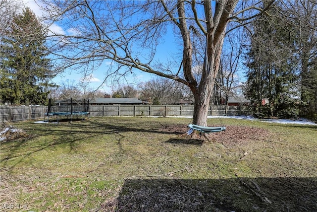 view of yard with a fenced backyard and a trampoline