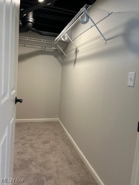 spacious closet featuring carpet floors