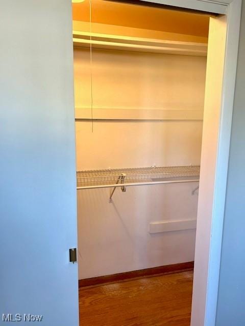 view of closet