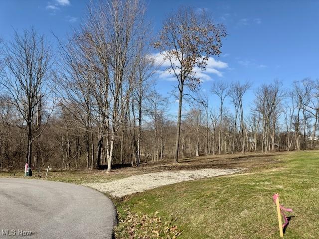 Belmont Ave, Saint Clairsville OH, 43950 land for sale