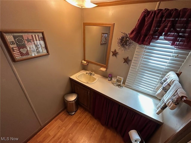 bathroom featuring wood finished floors and vanity