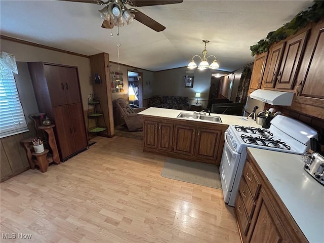 kitchen featuring gas range gas stove, under cabinet range hood, light wood-type flooring, a peninsula, and a sink