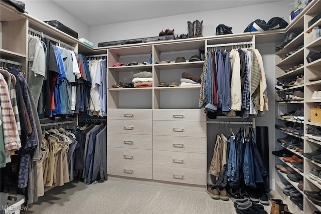 walk in closet featuring carpet