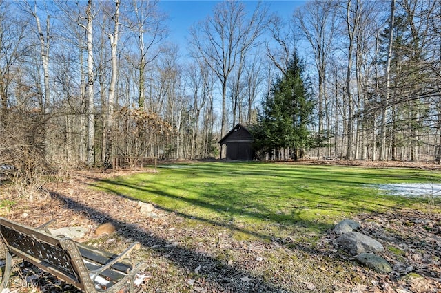 view of yard featuring an outbuilding