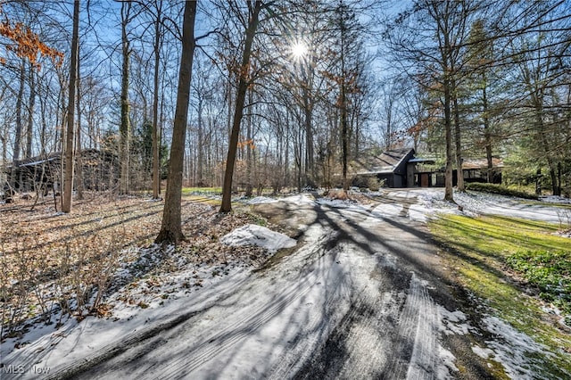 view of road featuring dirt driveway