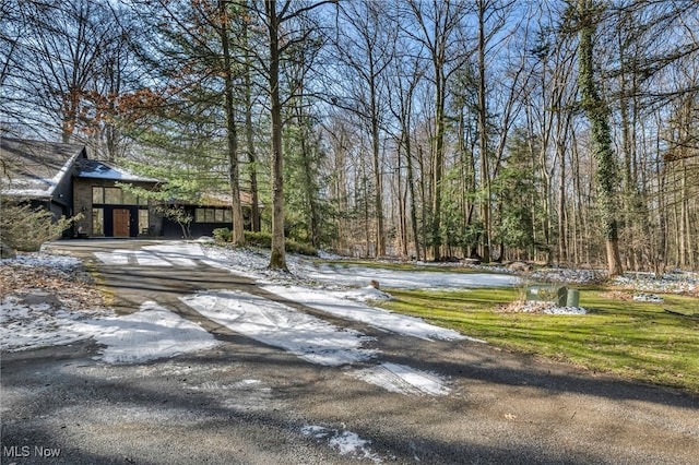 view of yard with a wooded view