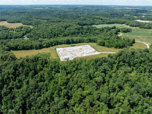5659 Steubenville Rd SE, Amsterdam, OH 43903 - drone / aerial view featuring a view of trees