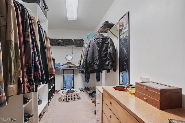 walk in closet with carpet