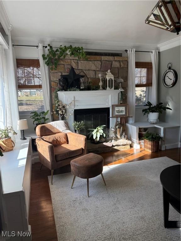 living room featuring a glass covered fireplace, crown molding, wood finished floors, and a healthy amount of sunlight