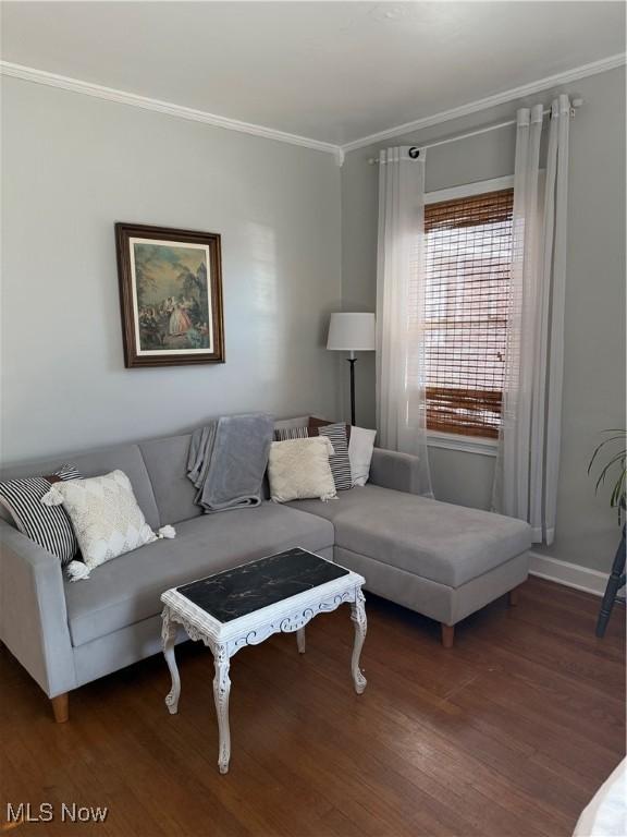 living room featuring baseboards, wood finished floors, and ornamental molding