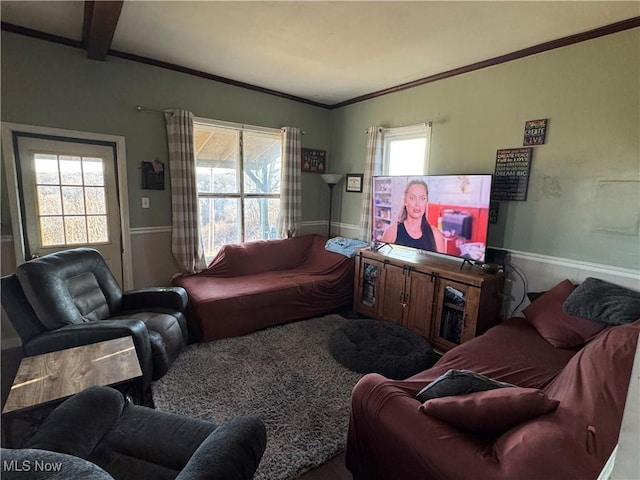 living room featuring crown molding