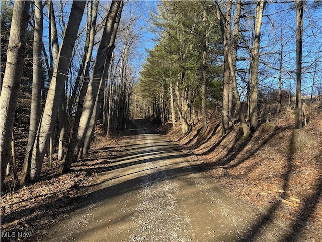 view of road