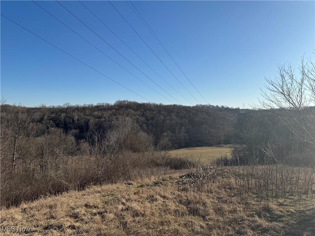 view of local wilderness with a forest view