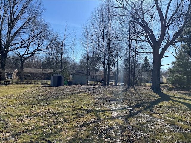 view of yard with a storage shed and an outbuilding