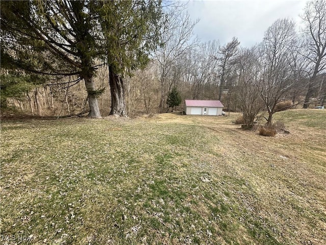 view of yard with an outbuilding