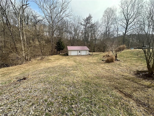 view of yard with an outbuilding