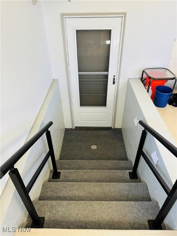 stairway with carpet floors