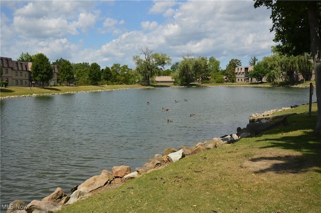 view of water feature