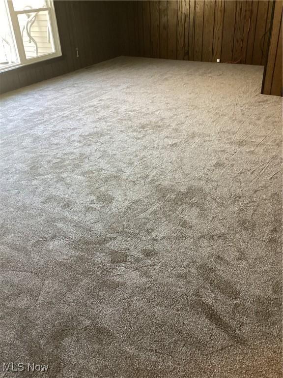 interior details featuring carpet floors and wood walls