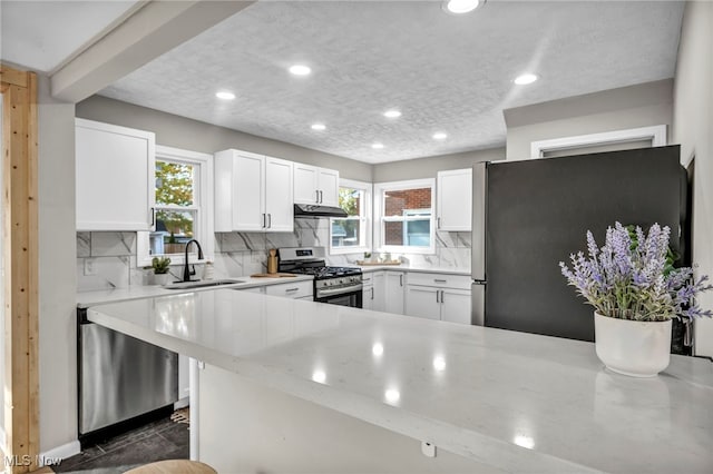 kitchen featuring a sink, plenty of natural light, backsplash, and stainless steel appliances