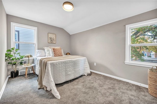 carpeted bedroom with visible vents, baseboards, and lofted ceiling