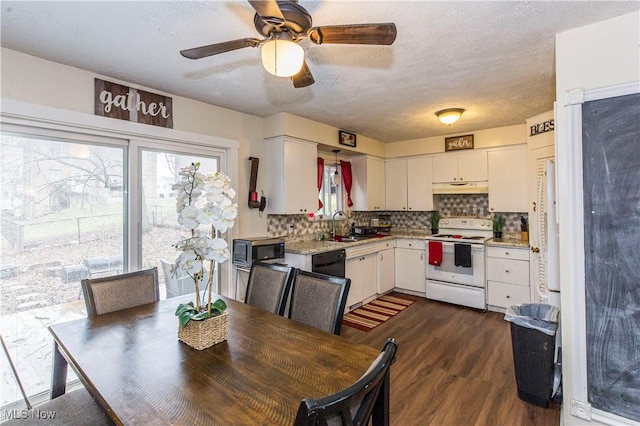 kitchen with electric stove, under cabinet range hood, stainless steel microwave, a sink, and light countertops