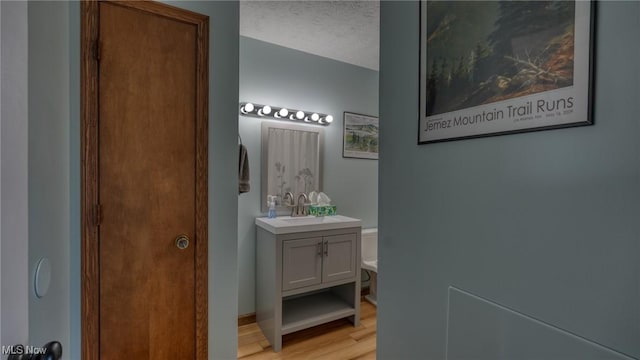 bathroom featuring vanity, wood finished floors, and a textured ceiling