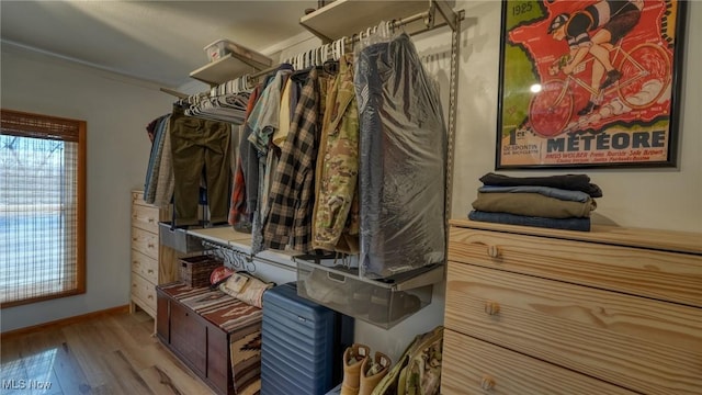 spacious closet featuring wood finished floors