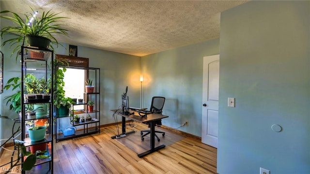 office area featuring baseboards, light wood-type flooring, and a textured ceiling