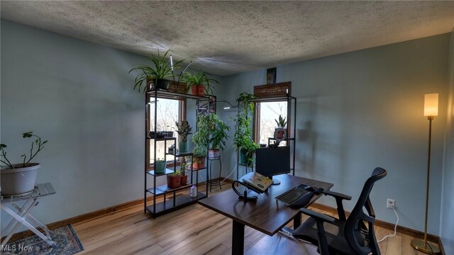 440 Homestead Dr, New Concord, OH 43762 - office featuring light wood-style flooring, a textured ceiling, and baseboards