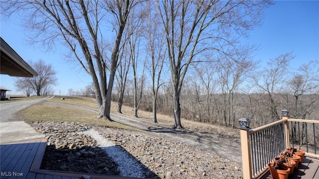440 Homestead Dr, New Concord, OH 43762 - view of yard