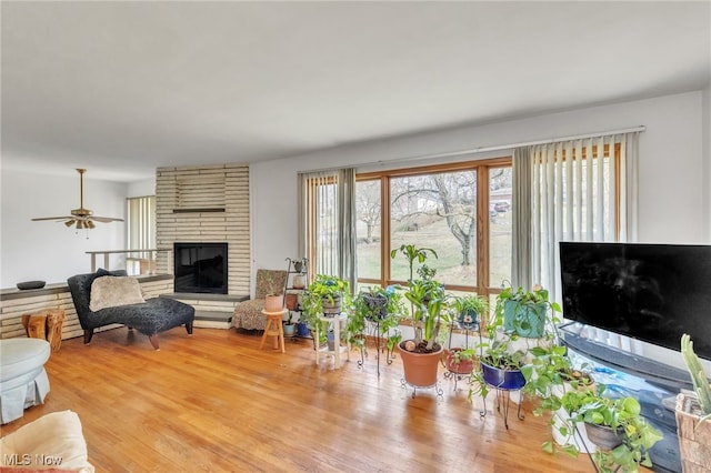 living room with a wealth of natural light, a fireplace, ceiling fan, and wood finished floors