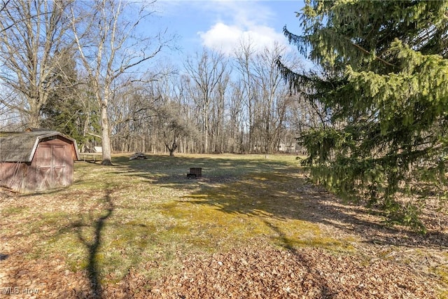 view of yard featuring a storage unit and an outdoor structure