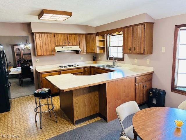 kitchen featuring under cabinet range hood, light countertops, brown cabinetry, and a sink