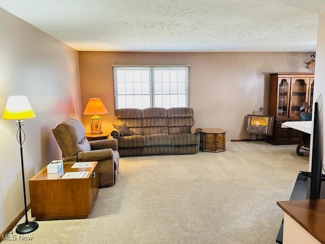 living room with light colored carpet, a textured ceiling, and baseboards