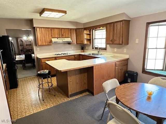 kitchen with white gas cooktop, under cabinet range hood, a peninsula, freestanding refrigerator, and a sink