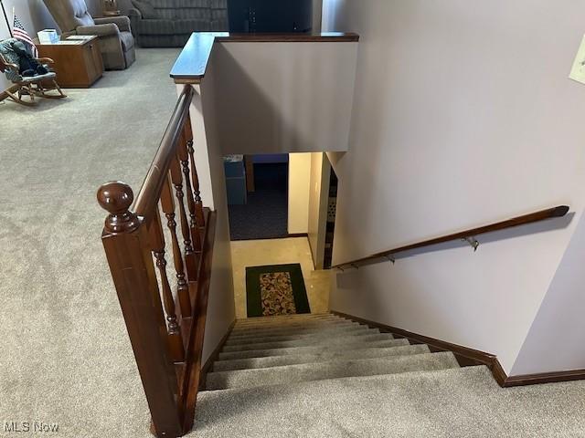 stairs with carpet floors