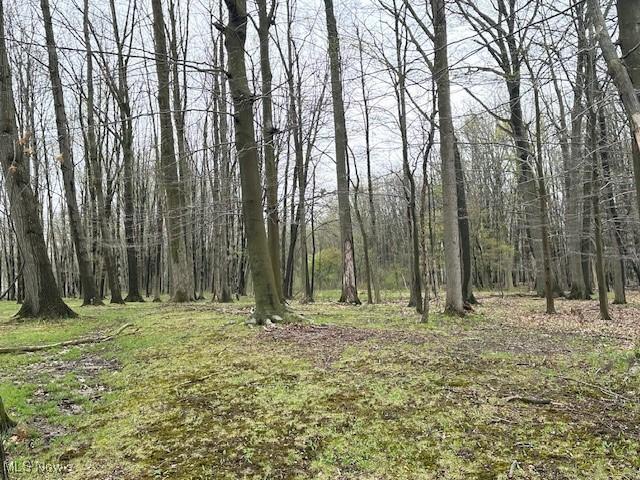 view of nature with a forest view