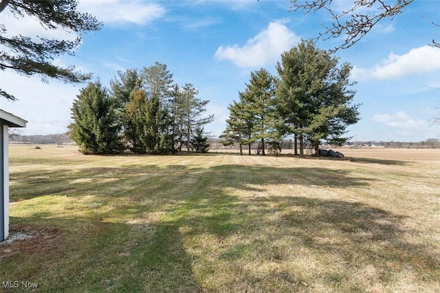 view of yard featuring a rural view