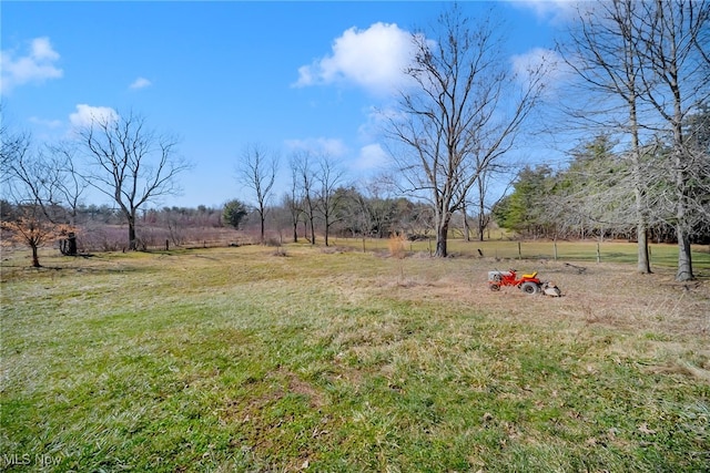 view of yard with a rural view