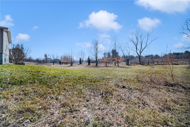 view of yard featuring a rural view