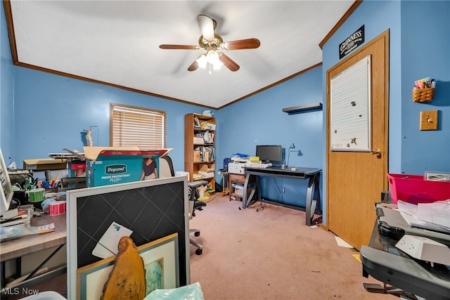 carpeted home office with ornamental molding and a ceiling fan