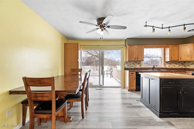 kitchen with backsplash, light wood-type flooring, black dishwasher, dark cabinetry, and a sink