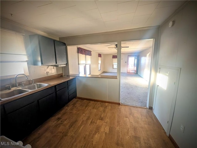 kitchen with a sink, a ceiling fan, ornamental molding, and dark wood-style flooring