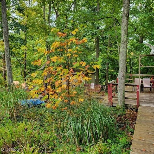 exterior space with a wooden deck