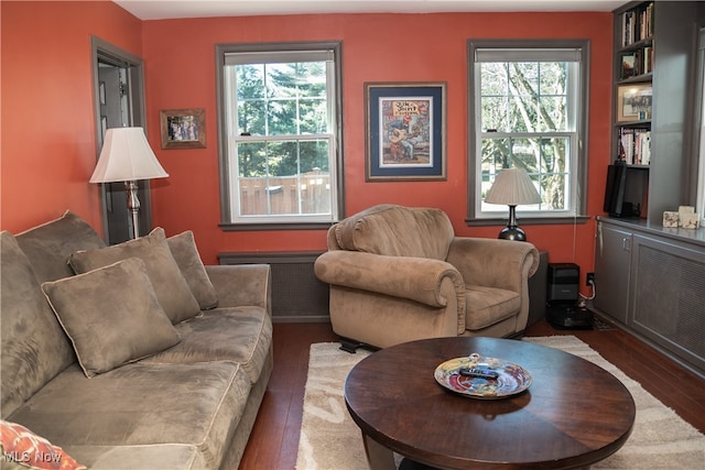 living room featuring radiator and wood finished floors