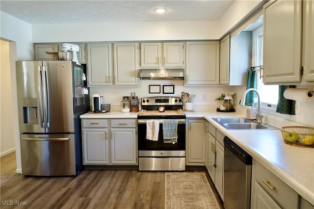 kitchen featuring ventilation hood, appliances with stainless steel finishes, light countertops, and a sink