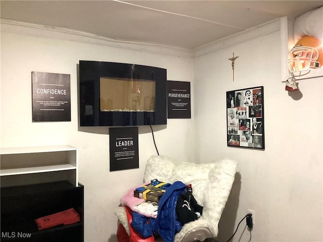 bedroom with crown molding