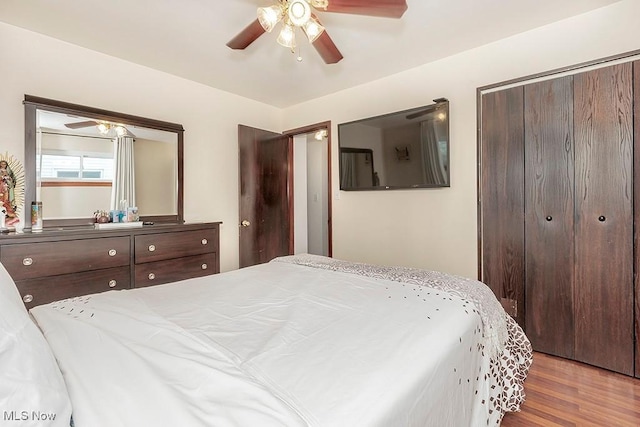 4707 Brookhigh Dr, Brooklyn, OH 44144 - bedroom with ceiling fan, a closet, and wood finished floors